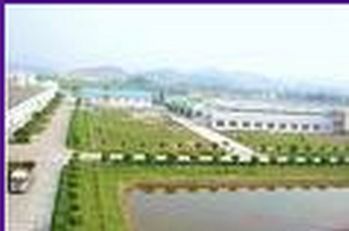 gdp增速_2007年佛山市gdp(3)